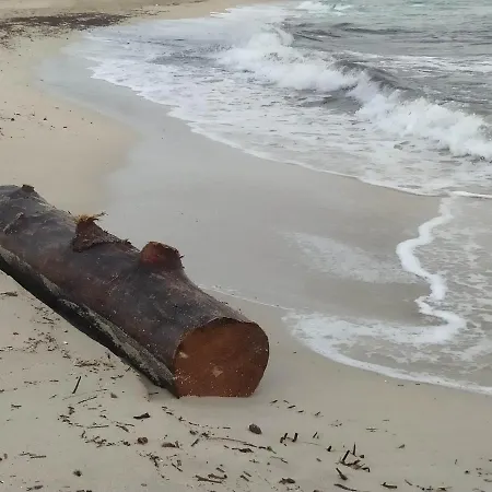 Salento Sul Mare מרינה די ליצאנו